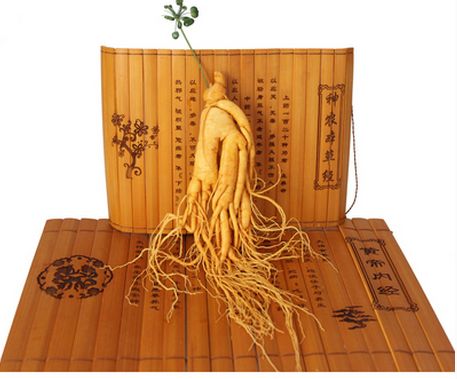 人参